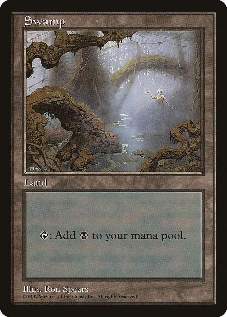 Swamp | Asia Pacific Land Program #15